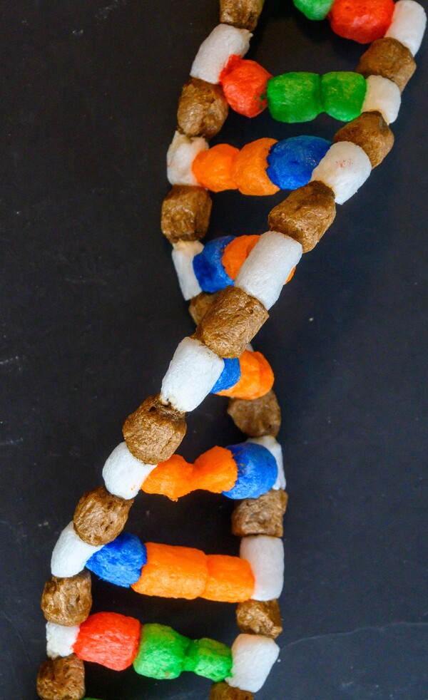 modèle 3D de la molécule d'ADN