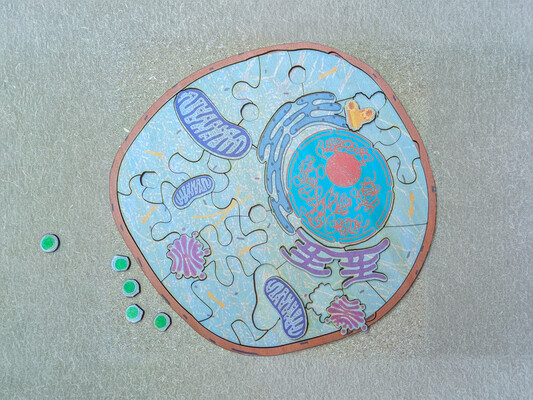 Puzzle de la cellule 029