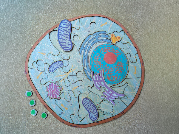 Le Puzzle Cellule