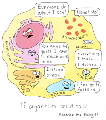 organites.png