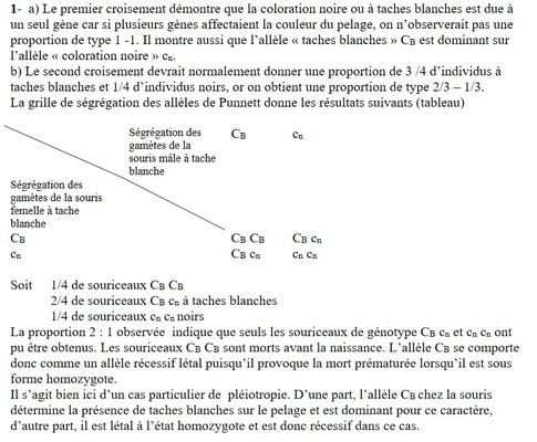 correctionpleiotropie