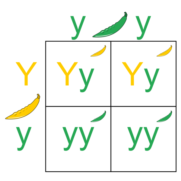 Pbroks13, CC BY-SA 3.0